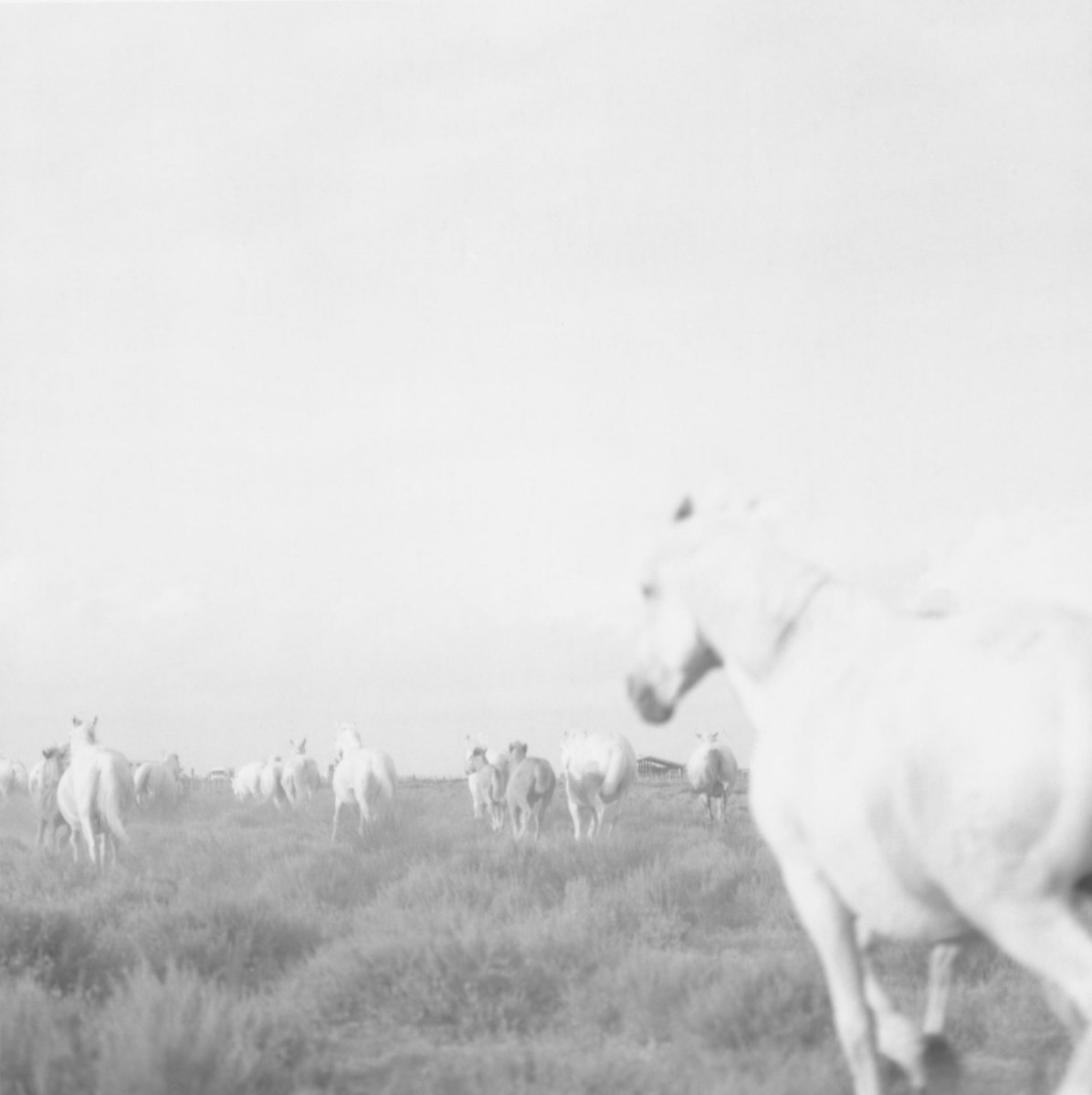 ENREGISTREMENTS SUR LE TERRAIN - Exposition d'Andrea C Morley