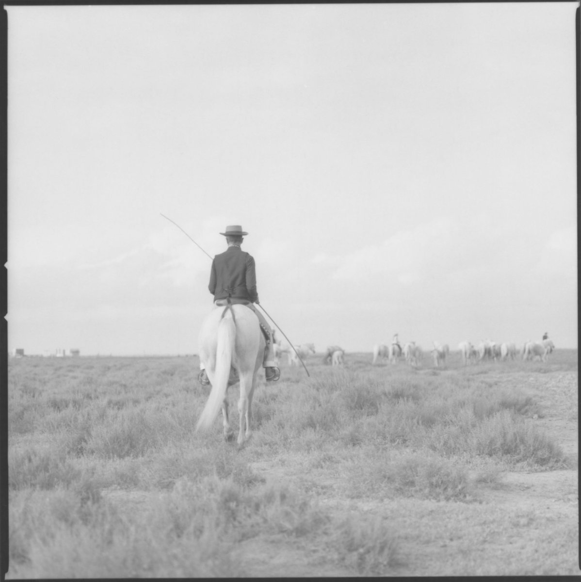 ENREGISTREMENTS SUR LE TERRAIN - Exposition d'Andrea C Morley
