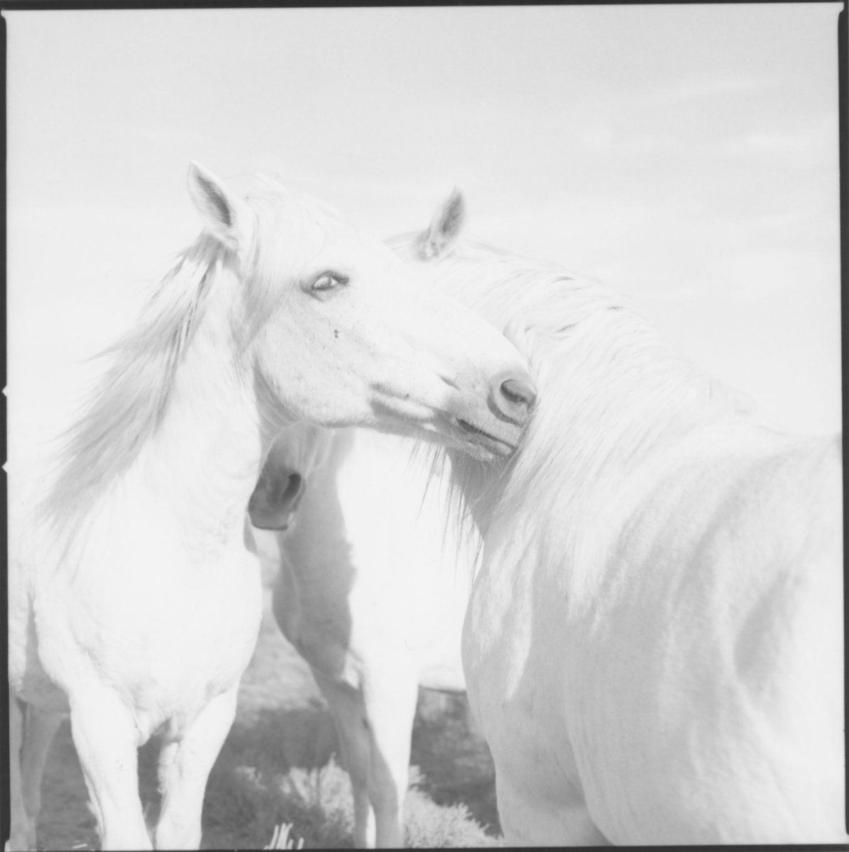 ENREGISTREMENTS SUR LE TERRAIN - Exposition d'Andrea C Morley