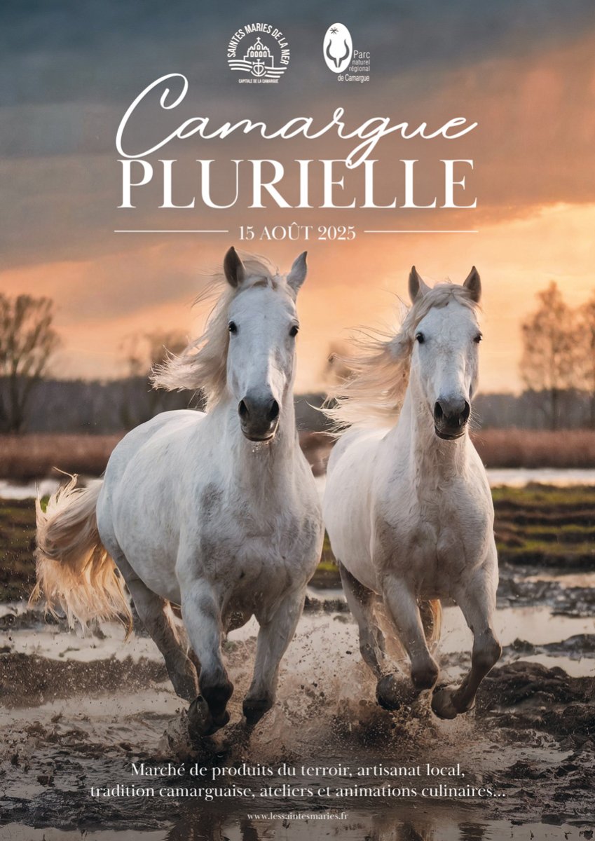 CAMARGUE PLURIELLE Saintes-Maries-de-La-Mer 