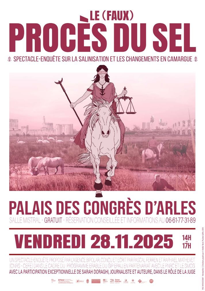 Affiche spectacle Le (faux) procs du sel