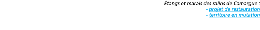  tangs et marais des salins de Camargue   - projet de restauration - territoire en mutation