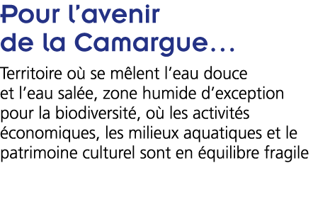  Pour l avenir de la Camargue   Territoire o  se m lent l eau douce et l eau sal e  zone humide d exception pour la b   
