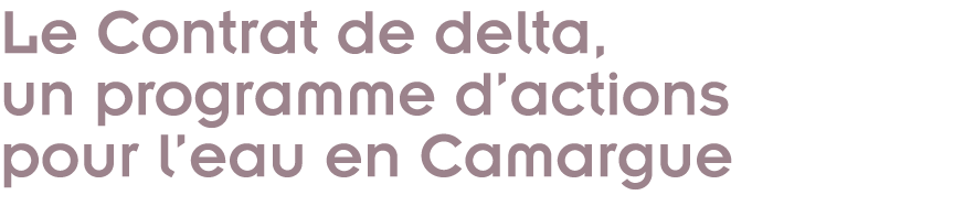 Le Contrat de delta  un programme d actions pour l eau en Camargue