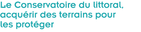  Le Conservatoire du littoral  acqu rir des terrains pour les prot ger 