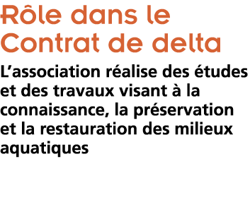R le dans le Contrat de delta  L association r alise des  tudes et des travaux visant   la connaissance  la pr servat   