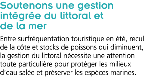 Soutenons une gestion int gr e du littoral et de la mer Entre surfr quentation touristique en  t   recul de la c te e   