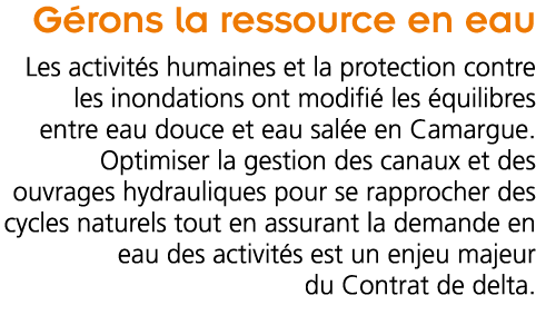 G rons la ressource en eau Les activit s humaines et la protection contre les inondations ont modifi  les  quilibres    