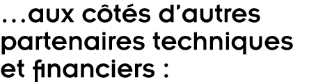  aux c t s d autres partenaires techniques et financiers   