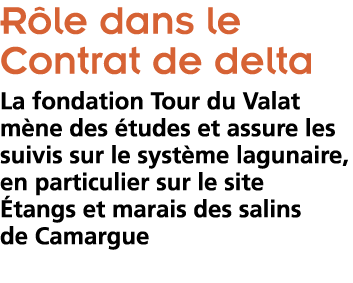 R le dans le Contrat de delta La fondation Tour du Valat m ne des  tudes et assure les suivis sur le syst me lagunai   