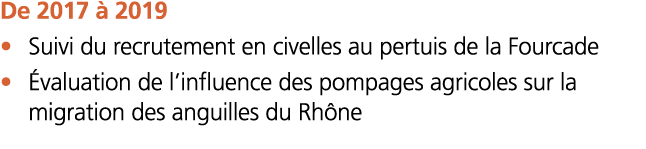       De 2017   2019    Suivi du recrutement en civelles au pertuis de la Fourcade     valuation de l influence des p   