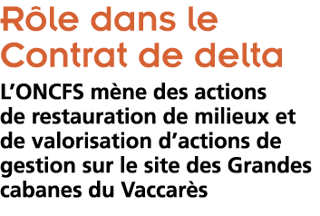  R le dans le Contrat de delta L ONCFS m ne des actions de restauration de milieux et de valorisation d actions de ge   