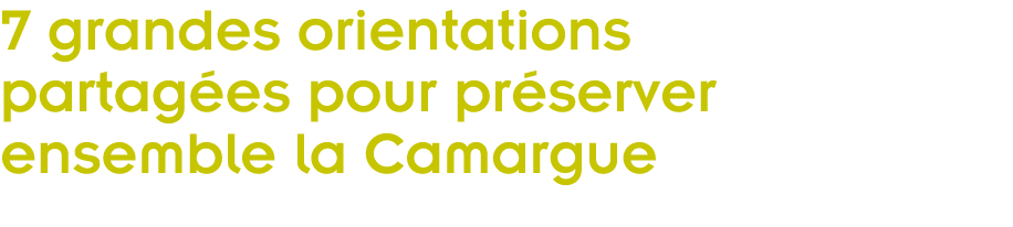 7 grandes orientations partag es pour pr server ensemble la Camargue