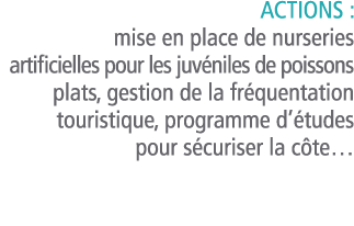 Actions    mise en place de nurseries artificielles pour les juv niles de poissons plats  gestion de la fr quentation   
